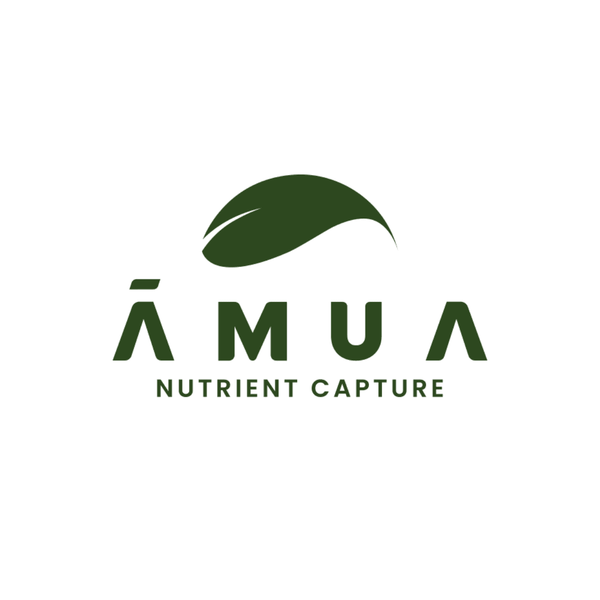 Āmua
